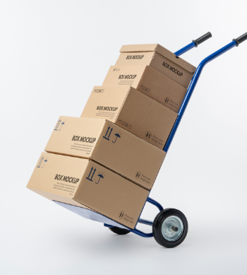 Protección patrimonial para mercancía